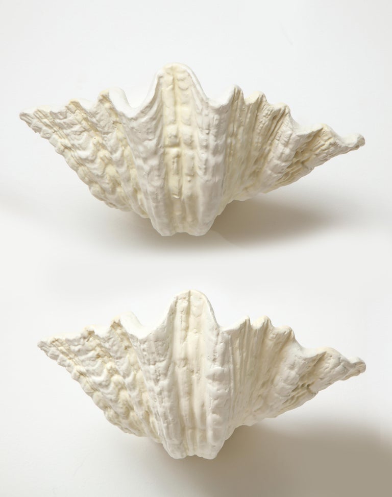 Pair of Plaster Shell Wall Sconces For Sale at 1stdibs