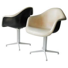 Pair of Plastic DAL Armchairs by Charles and Ray Eames for Herman Miller