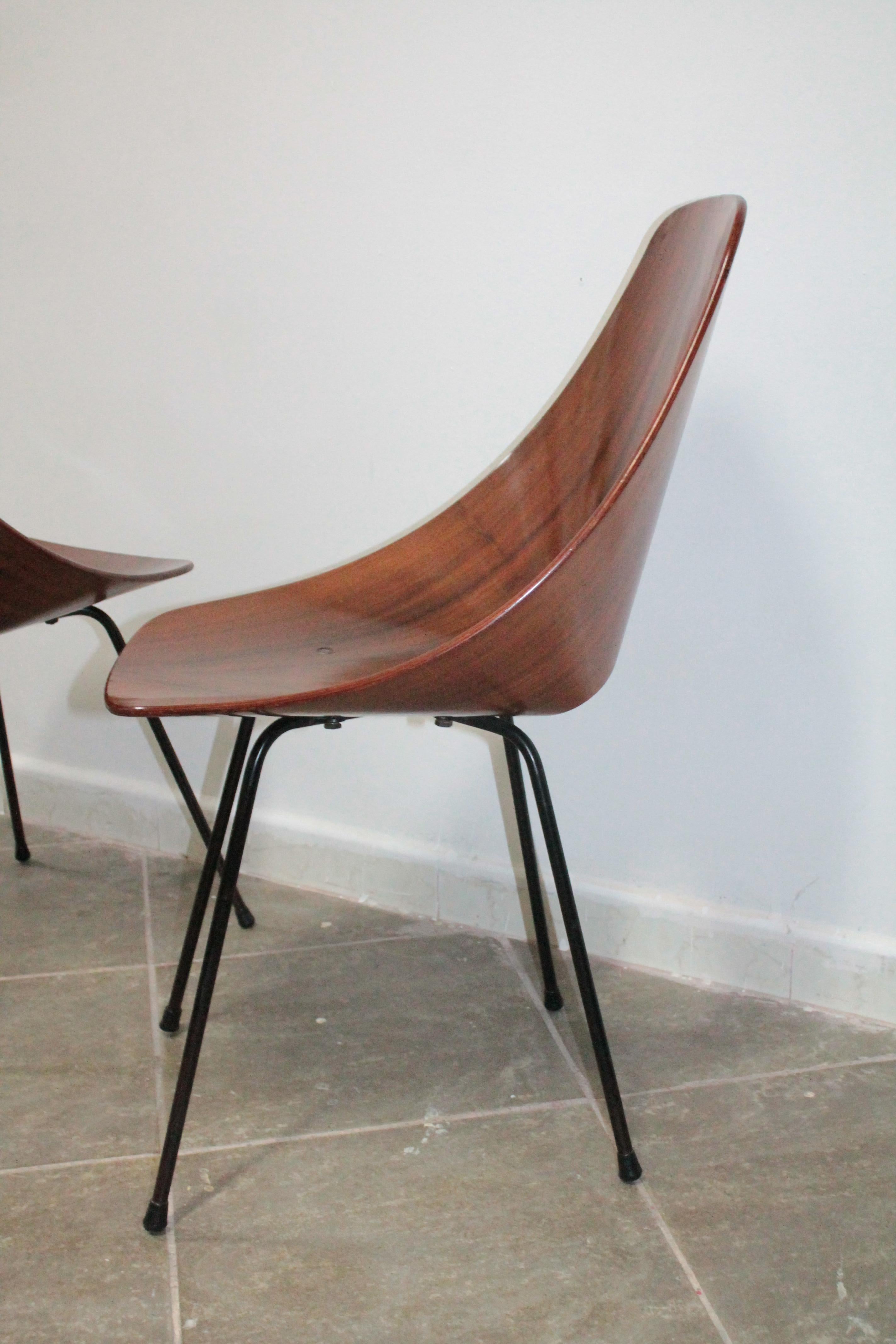 Pair of Plywood Vittorio Nobili 'MEDEA' Tagliabue Chairs, Italy, 1955 4