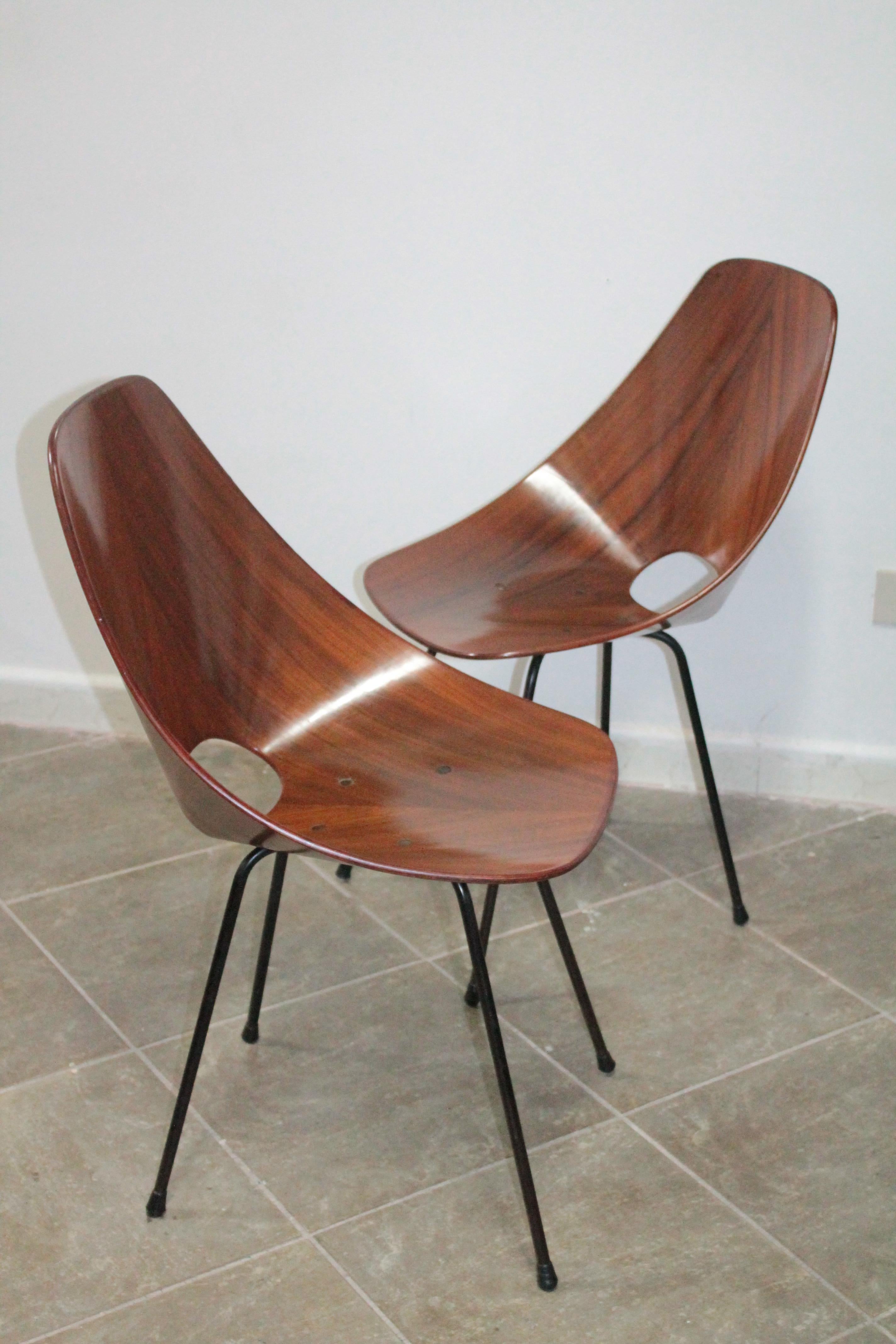 Pair of Plywood Vittorio Nobili 'MEDEA' Tagliabue Chairs, Italy, 1955 6