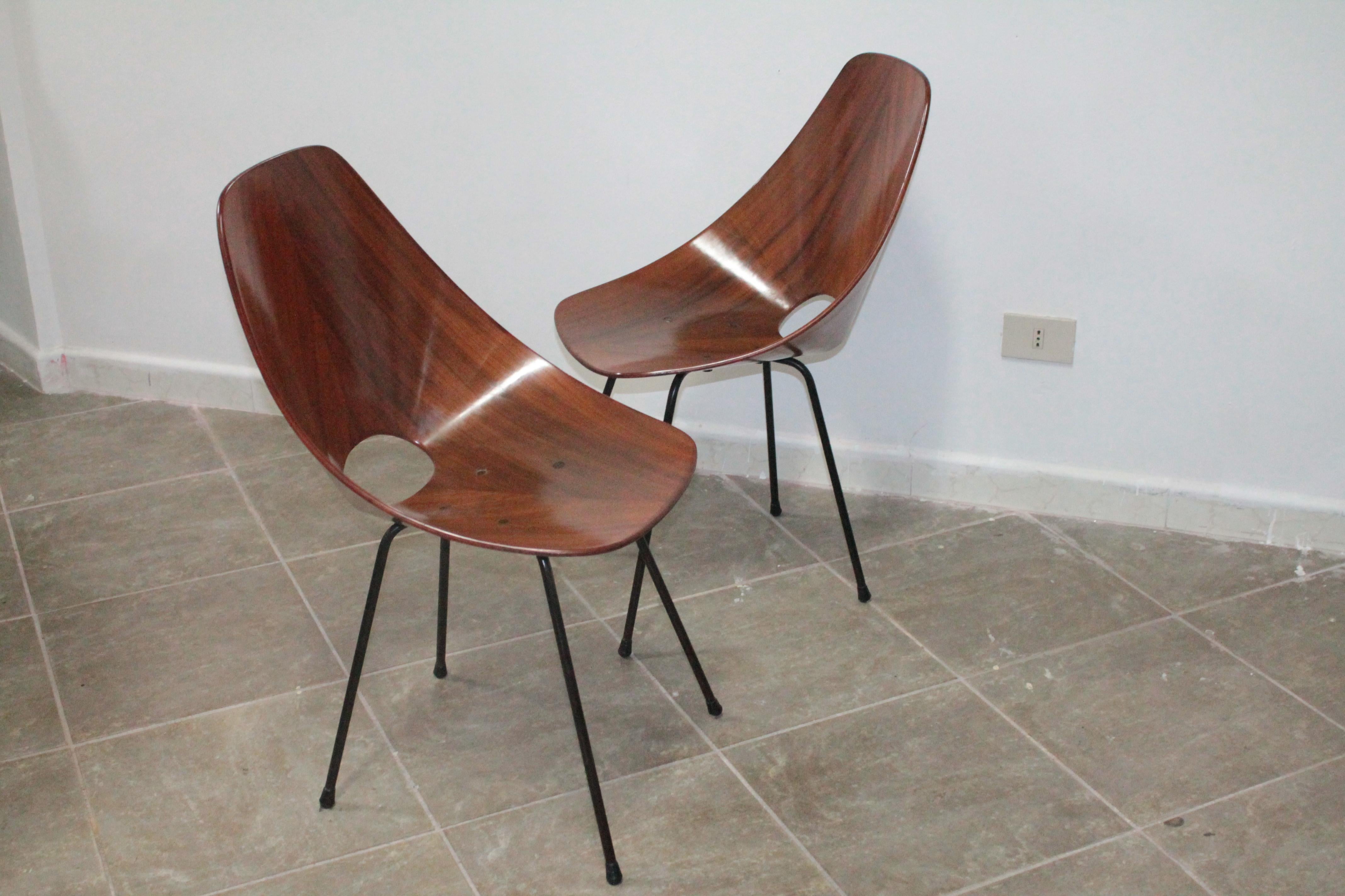 Mid-Century Modern Pair of Plywood Vittorio Nobili 'MEDEA' Tagliabue Chairs, Italy, 1955