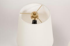 Pair of Polished Bronze Birds Lamps by Riccardo Scarpa