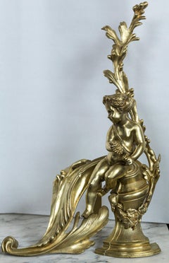Paire de chenets Putti en bronze poli