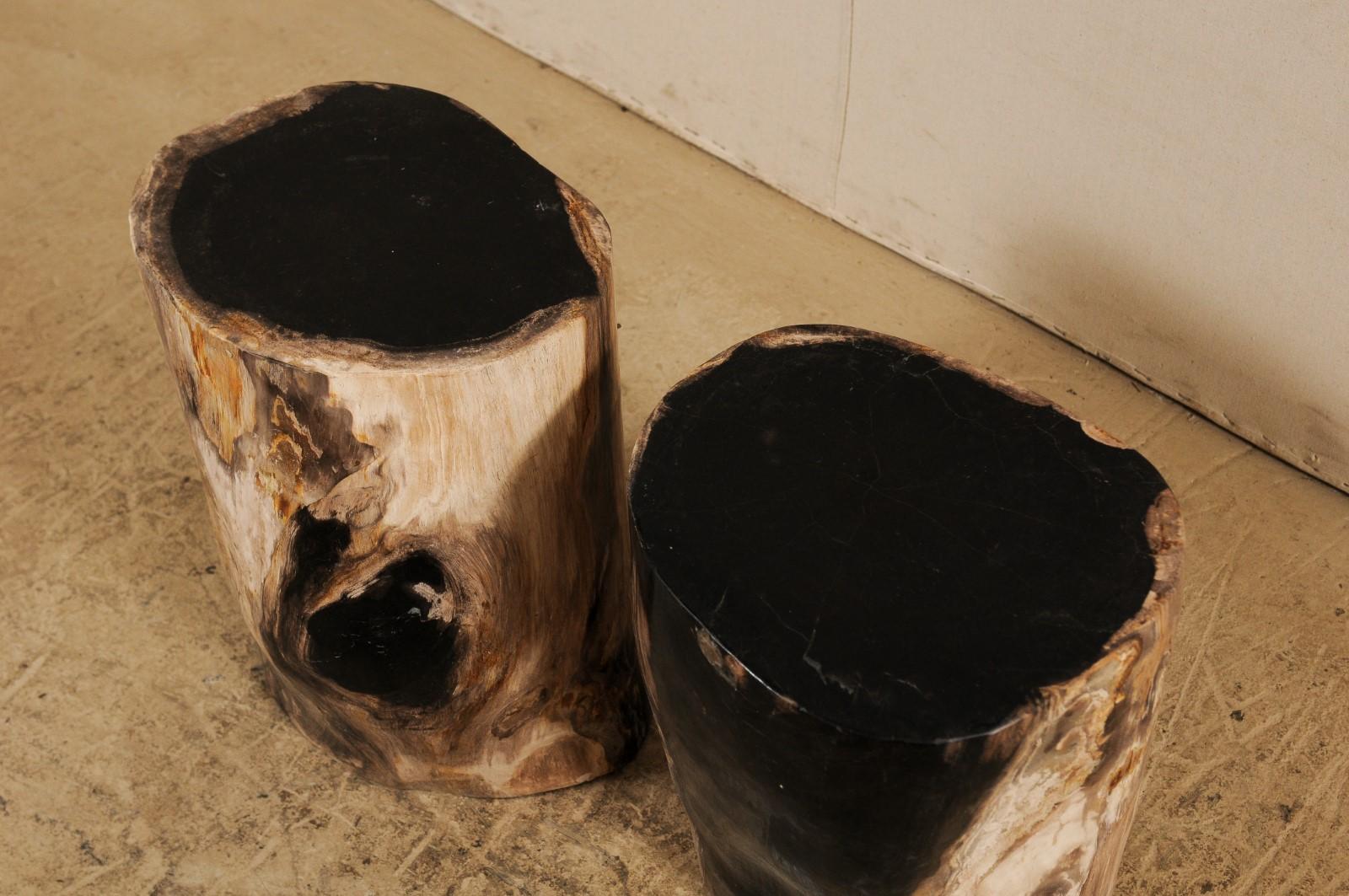 Pair of Polished Petrified Wood Side Tables or Stools in Cream and Black 4