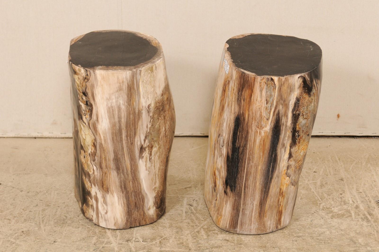 A pair of petrified wood drinks tables (or stools). This pair of petrified wood pedestal tables each have a smoothly polished top and sides, with primarily black tops, and black, grey, and various shades of tan/brown about the perimeter sides.