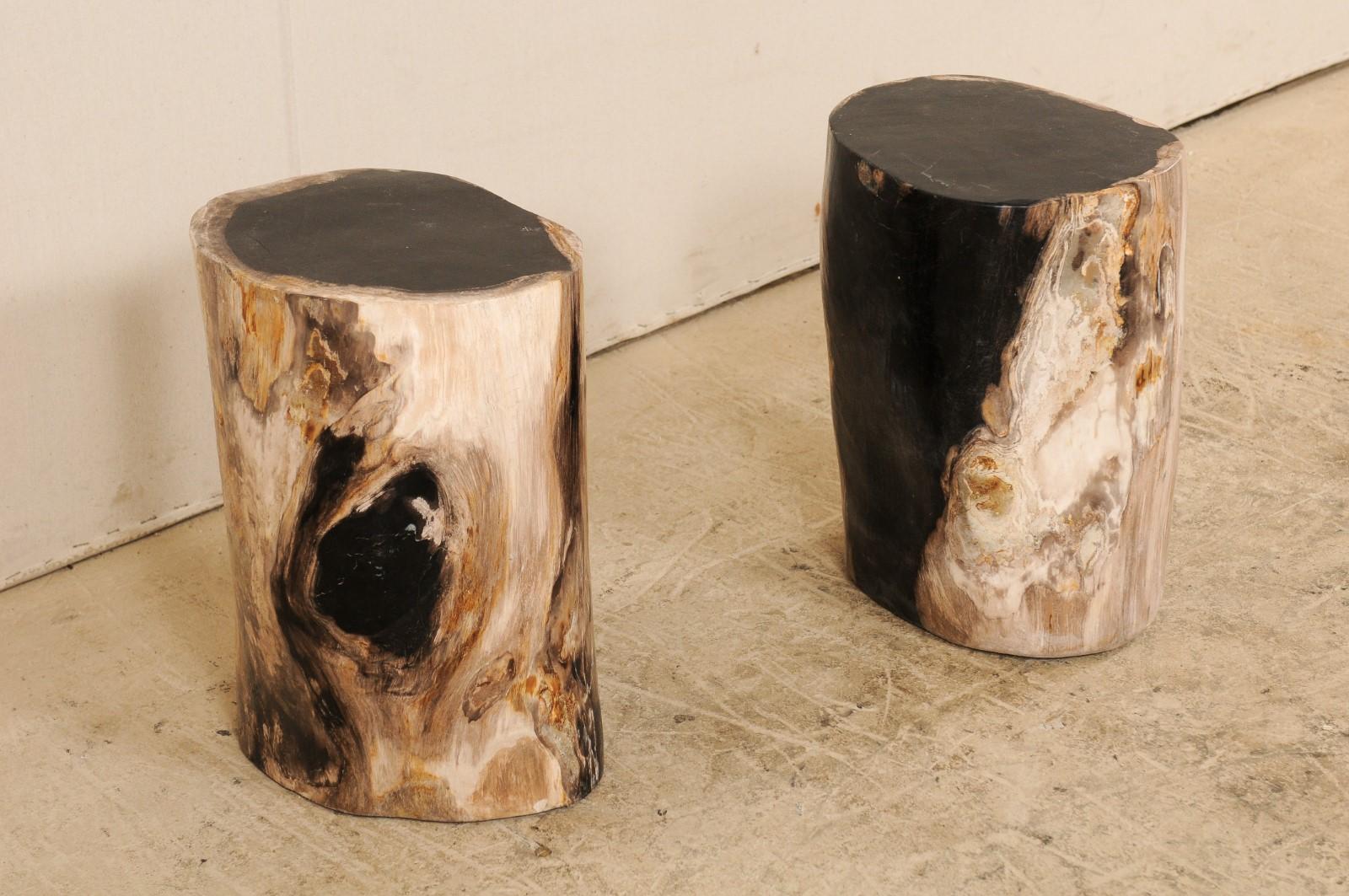 Rustic Pair of Polished Petrified Wood Side Tables or Stools in Cream and Black