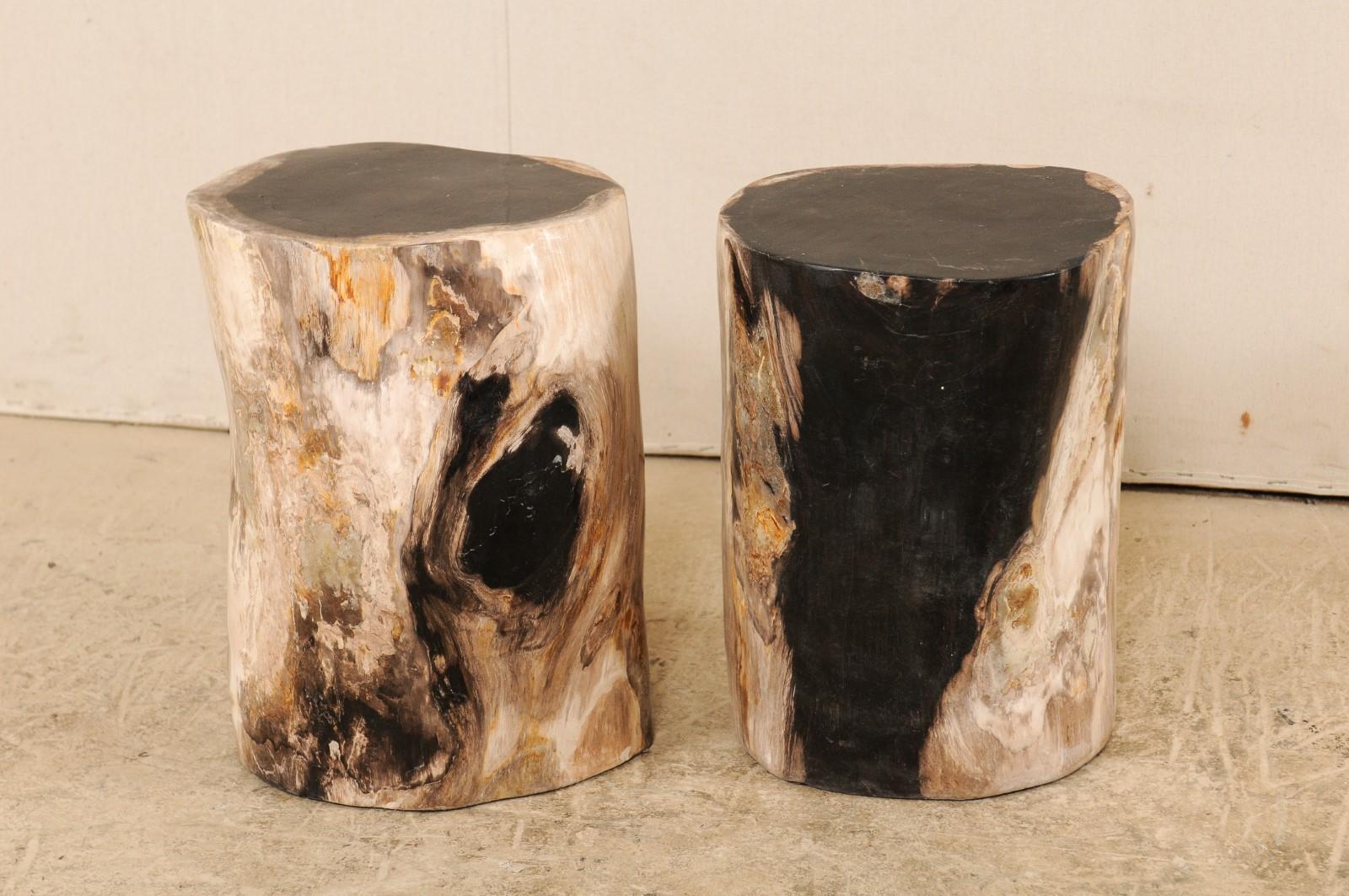 Carved Pair of Polished Petrified Wood Side Tables or Stools in Cream and Black