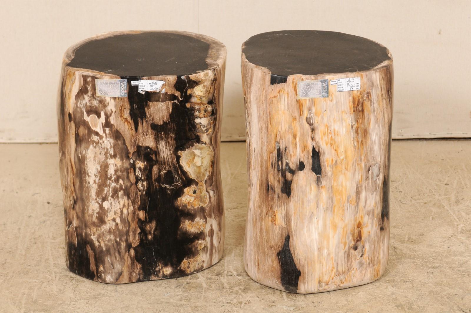 Pair of Polished Petrified Wood Side Tables or Stools in Cream and Black In Good Condition In Atlanta, GA