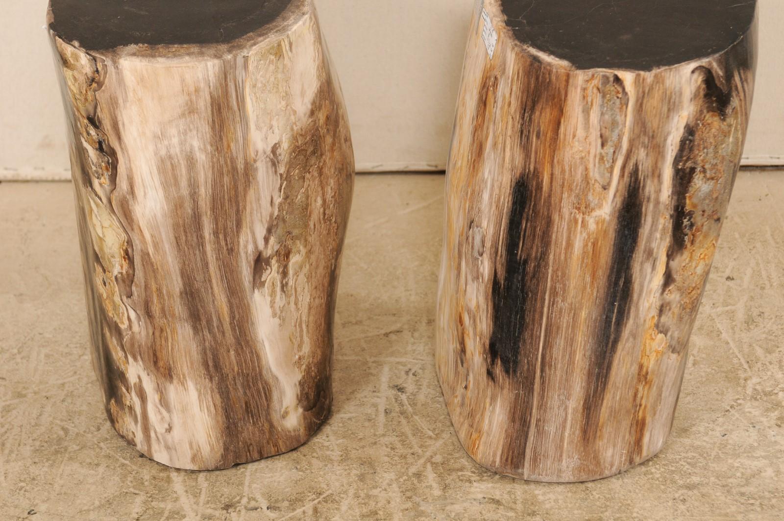 Contemporary Pair of Polished Petrified Wood Side Tables or Stools in Cream and Black