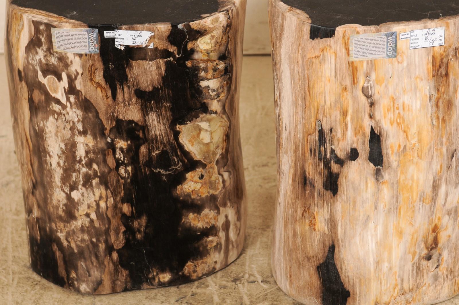 Pair of Polished Petrified Wood Side Tables or Stools in Cream and Black 1