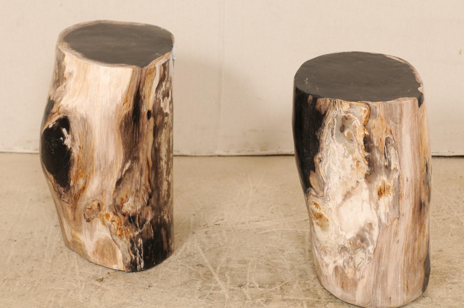 Pair of Polished Petrified Wood Side Tables or Stools in Cream and Black 2