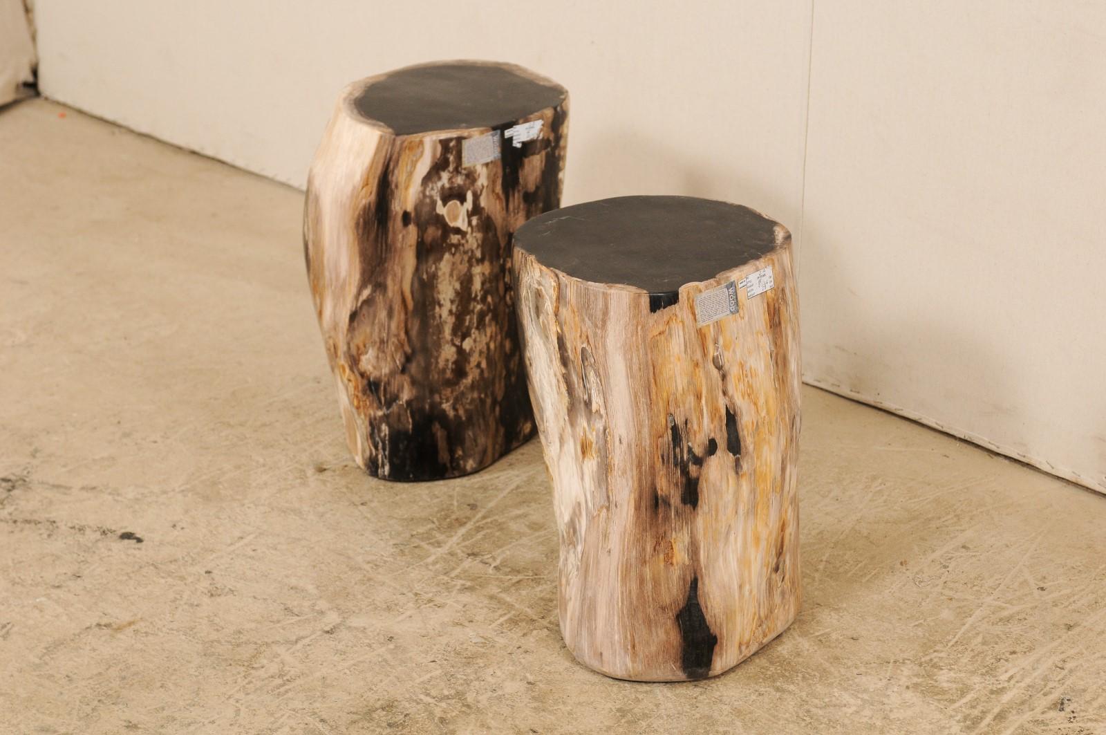 Pair of Polished Petrified Wood Side Tables or Stools in Cream and Black 3
