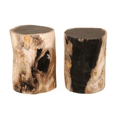 Pair of Polished Petrified Wood Side Tables or Stools in Cream and Black
