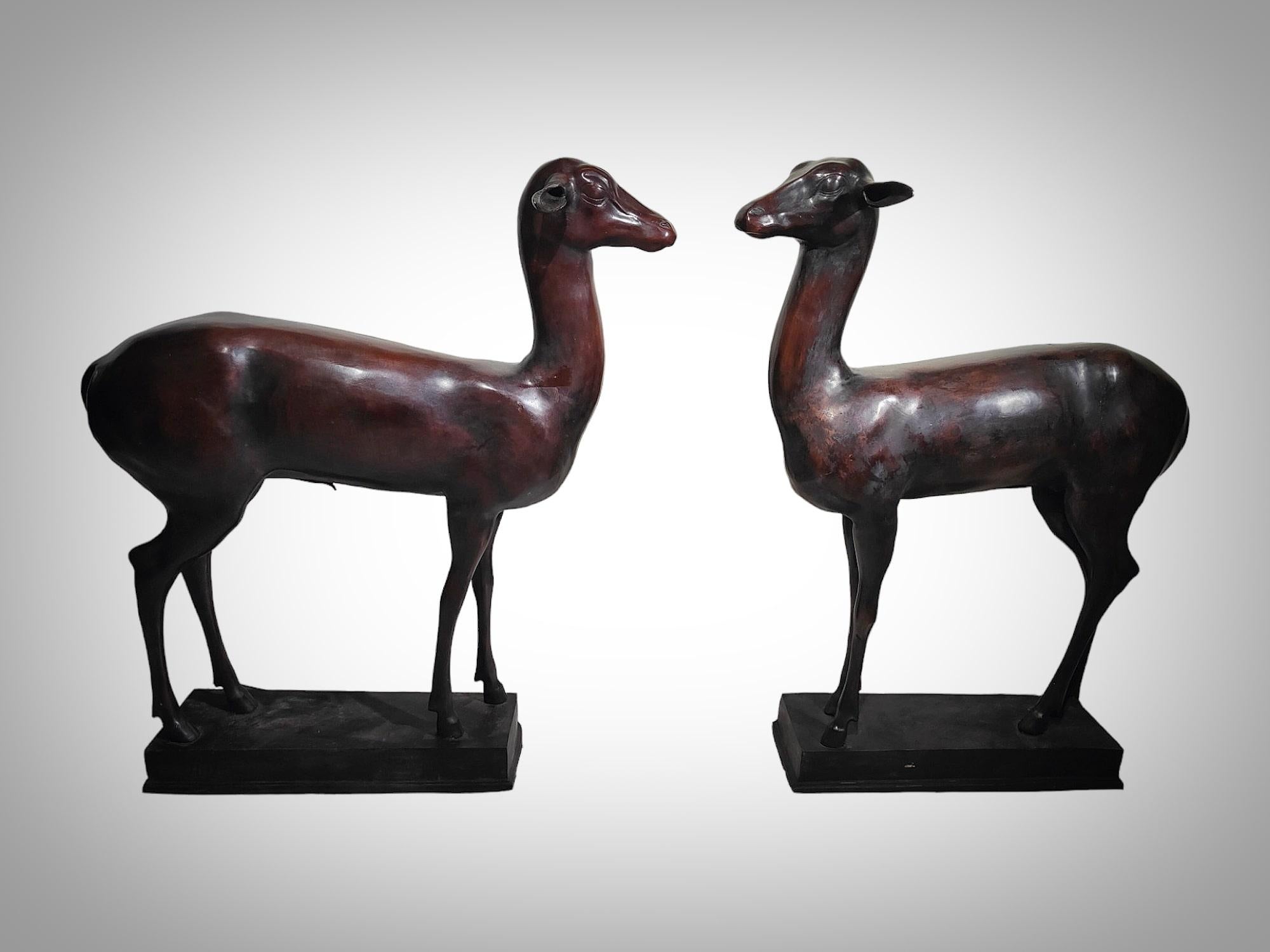 Couple of young deer after ancient times.
Patinated bronze.
Beginning of the 20th century.

This pair of young deer is a reproduction of the same dimensions as the originals preserved in the Archaeological Museum of Naples with inventory numbers
