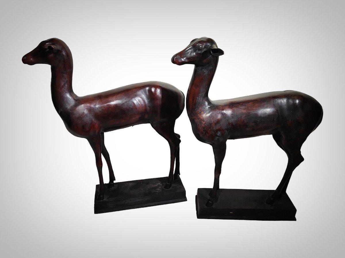Coppia di giovani cervi dopo i tempi antichi.
Bronzo patinato.
Inizio del XX secolo.

Questa coppia di giovani cervi è una riproduzione delle stesse dimensioni degli originali conservati nel Museo Archeologico di Napoli con i numeri di inventario