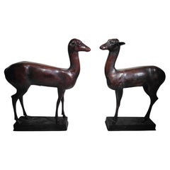 Antique Pair of Pompeian Deer from Herculaneum by Chiurazzi