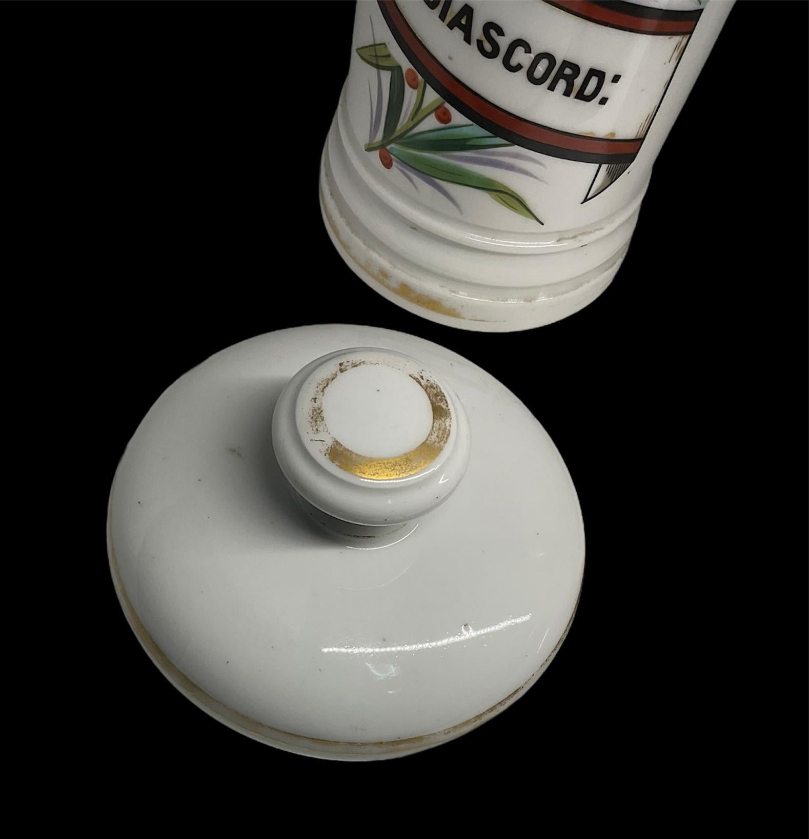 Pair of Porcelain Apothecary Jars For Sale 5