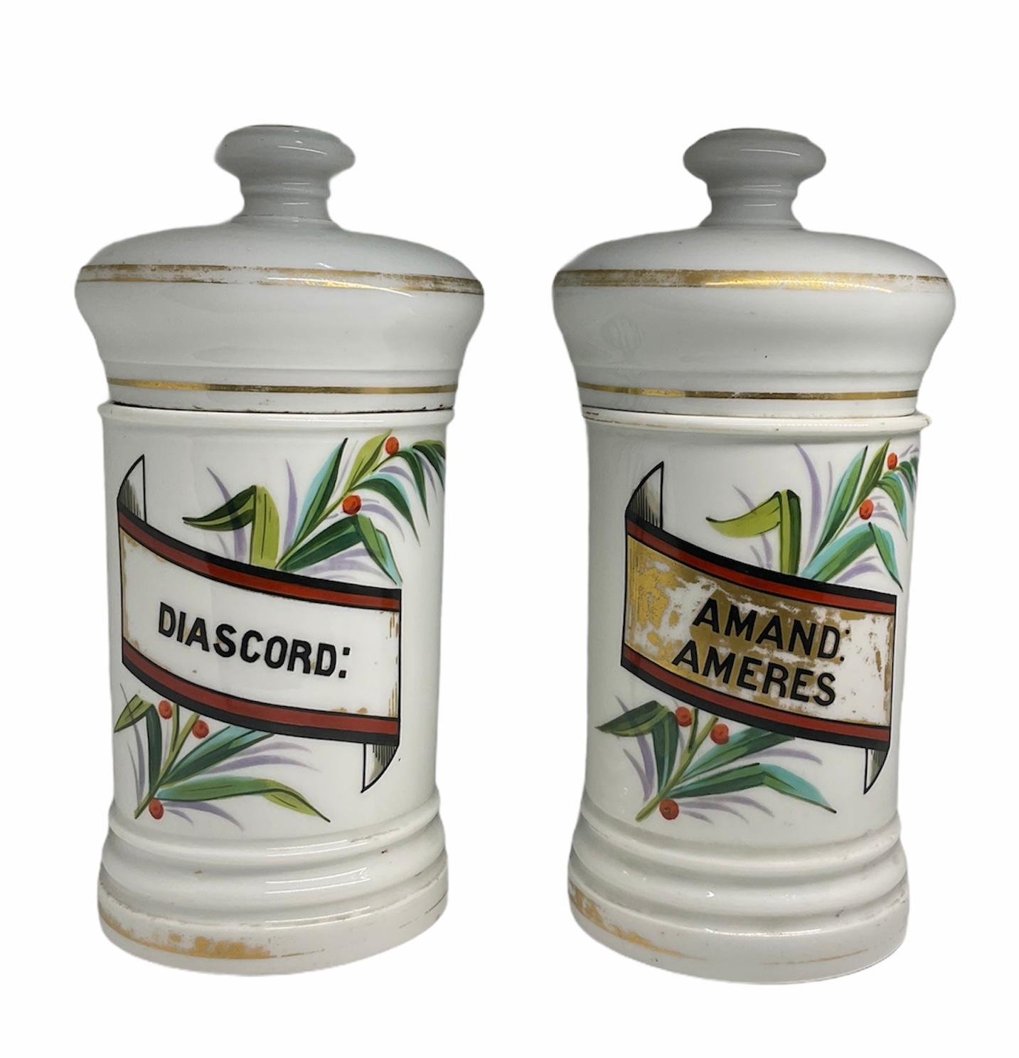 Pair of Porcelain Apothecary Jars For Sale 9