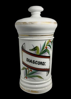 Coppia di vasi da farmacia in porcellana