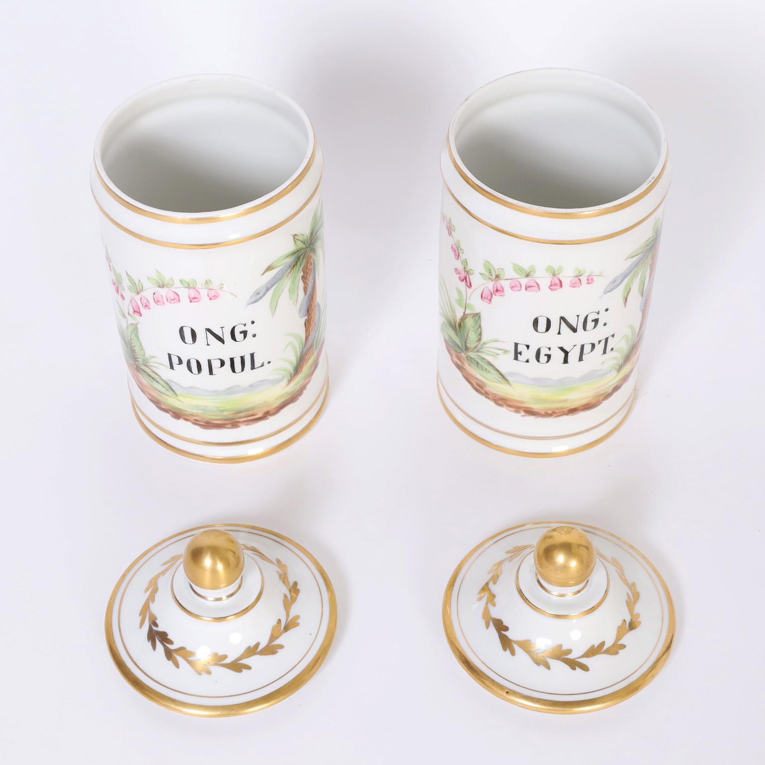 Pair of antique apothecary jars labeled in latin and hand decorated with tropical scenes with flowers.