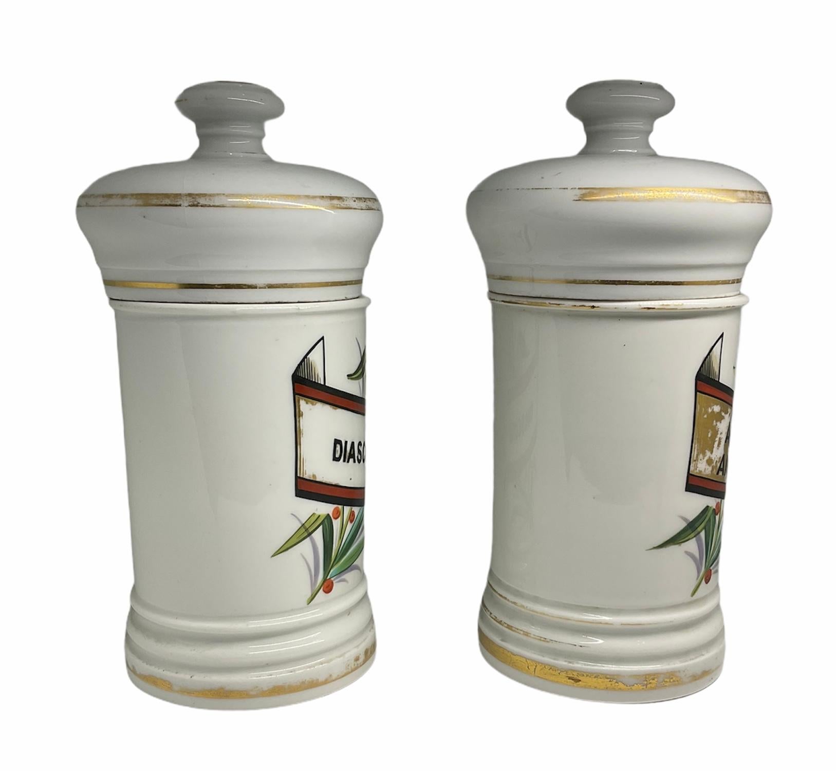 Unknown Pair of Porcelain Apothecary Jars For Sale