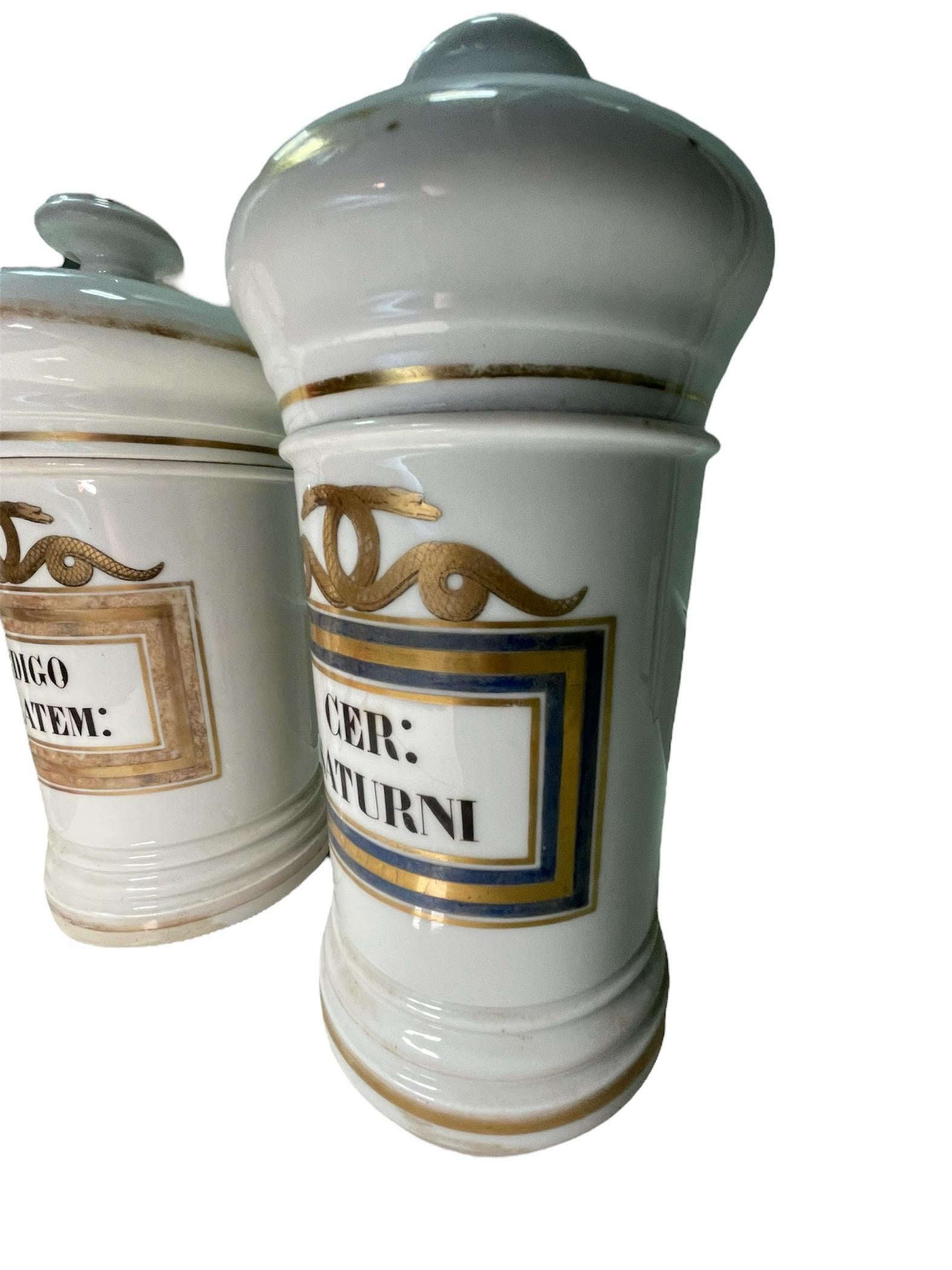 Unknown Pair Of Porcelain Apothecary Jars  For Sale