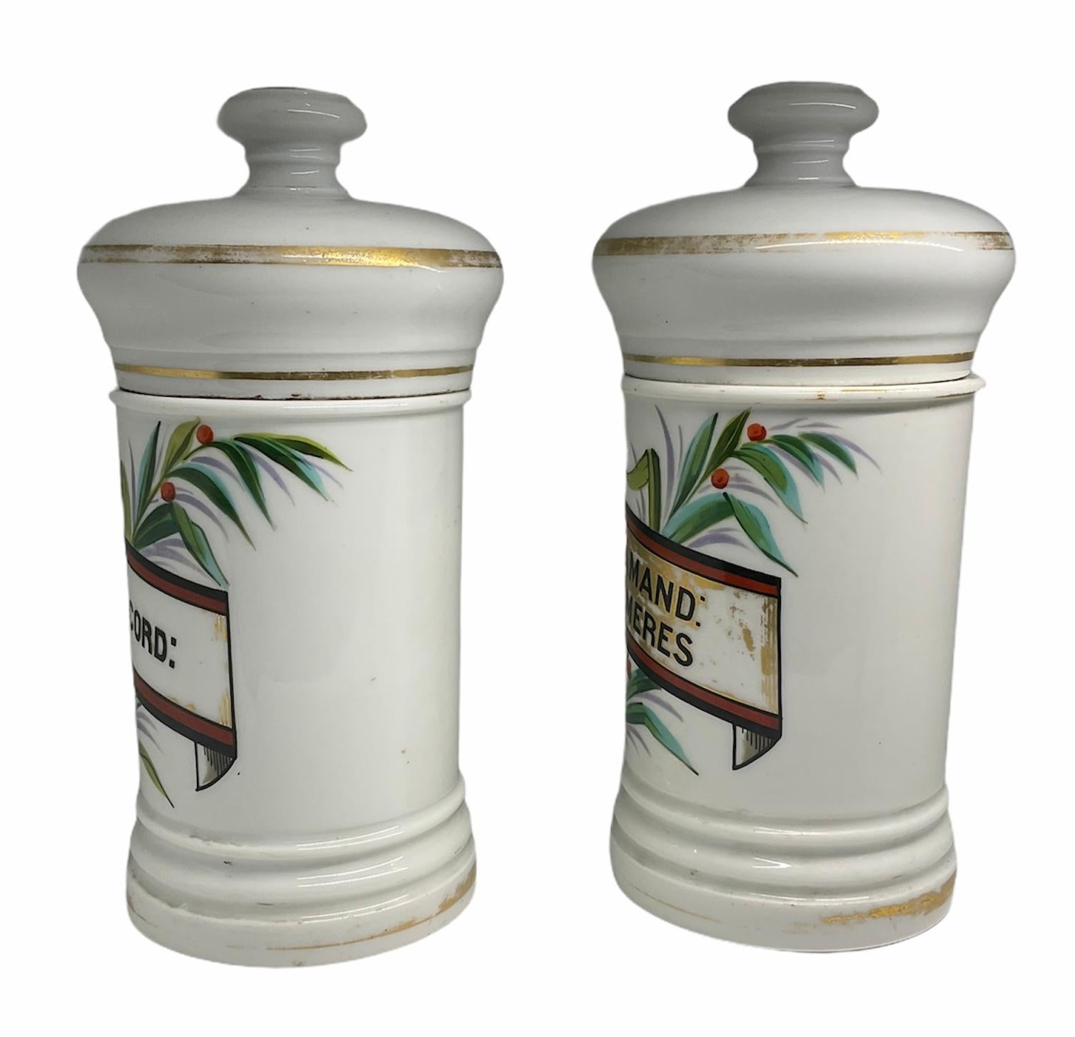 Hand-Painted Pair of Porcelain Apothecary Jars For Sale
