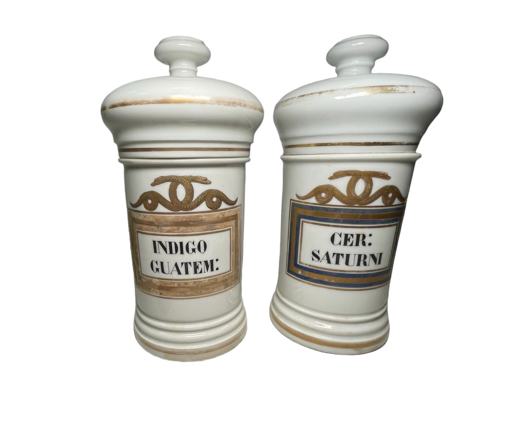 Hand-Painted Pair Of Porcelain Apothecary Jars  For Sale