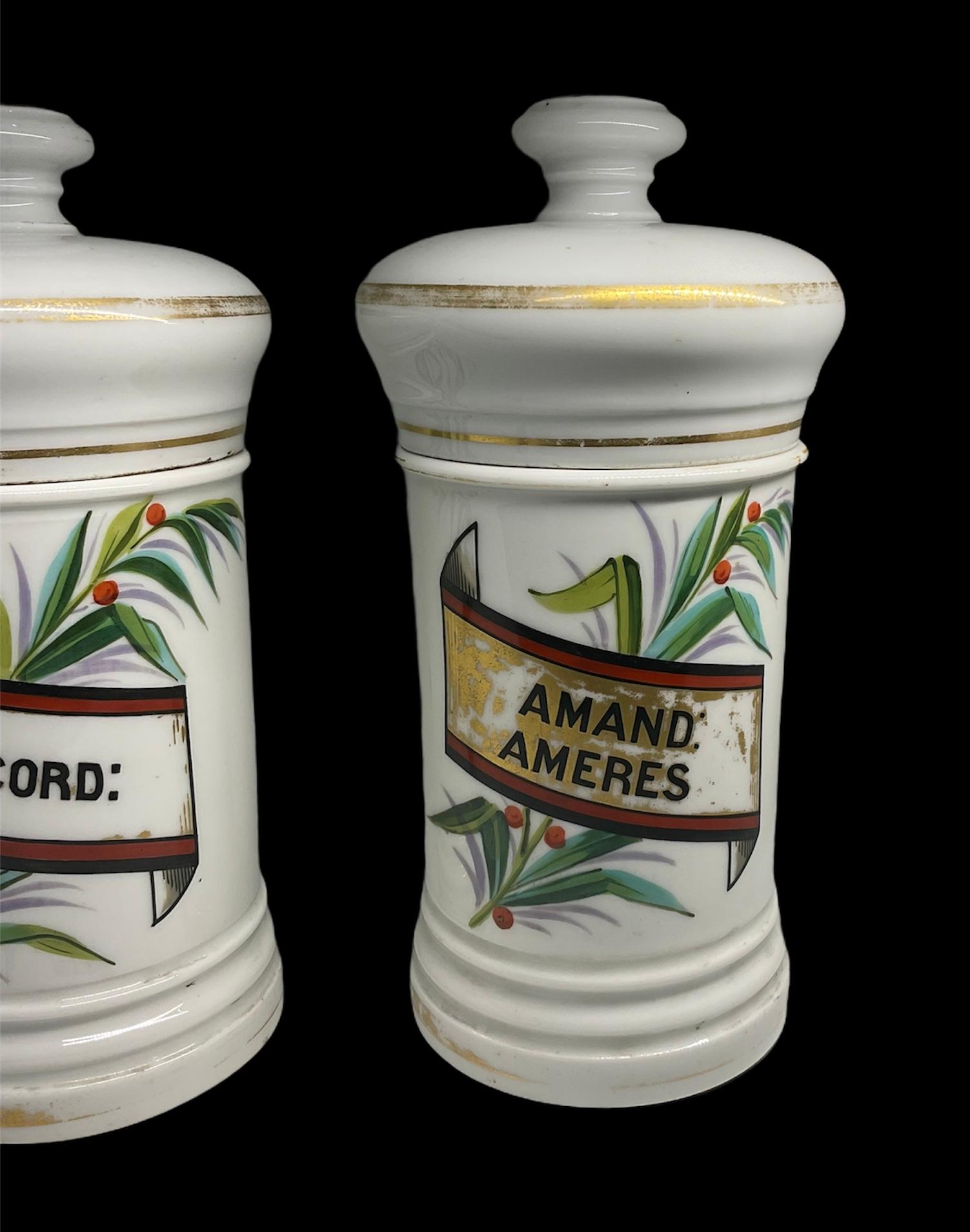 Pair of Porcelain Apothecary Jars In Good Condition For Sale In Guaynabo, PR