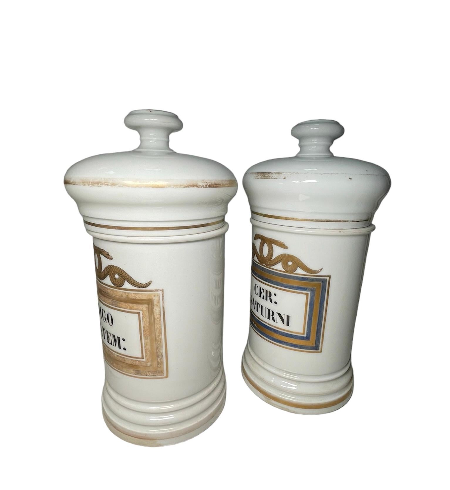 Pair Of Porcelain Apothecary Jars  For Sale 1