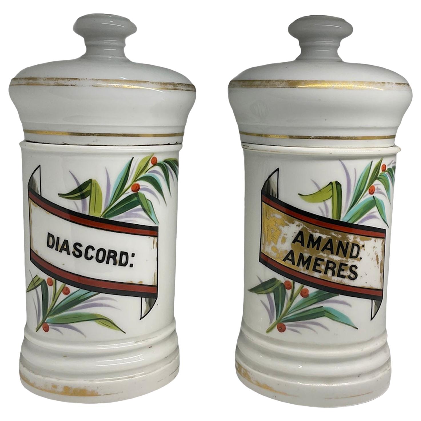 Pair of Porcelain Apothecary Jars For Sale