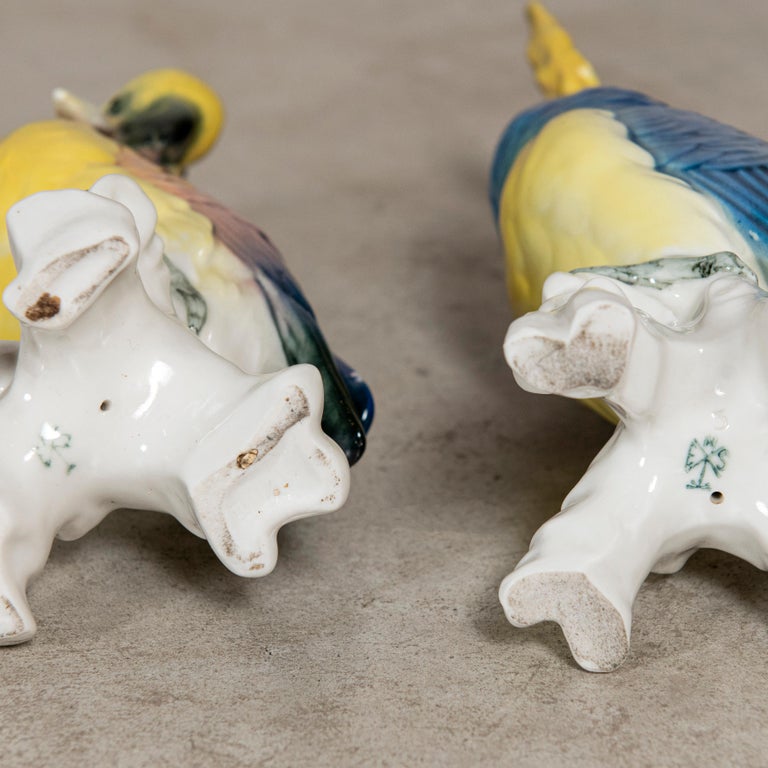 Painted Pair of Porcelain Parrots by Karl Ens, Germany, Late 19th Century For Sale