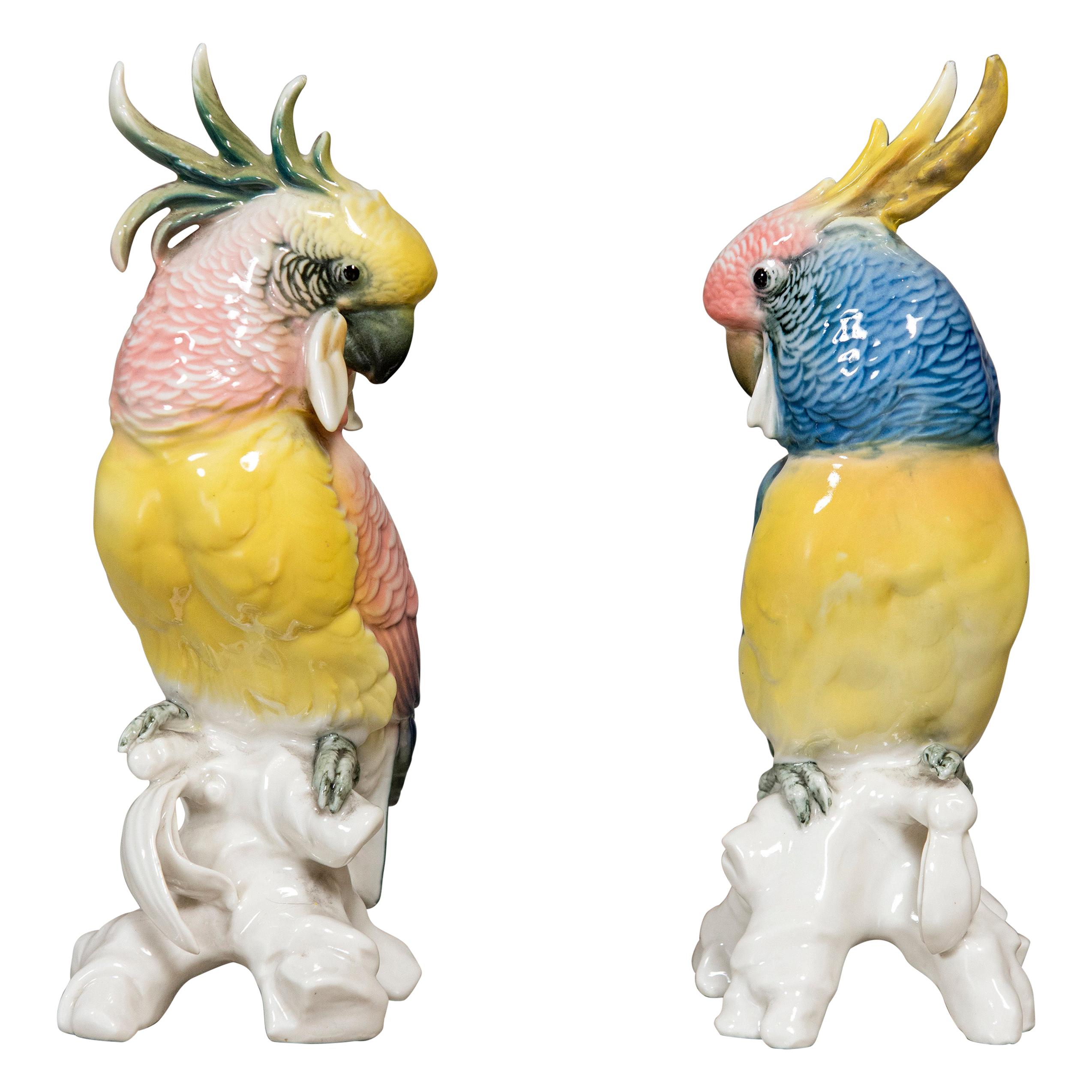 Pair of Porcelain Parrots by Karl Ens, Germany, Late 19th Century
