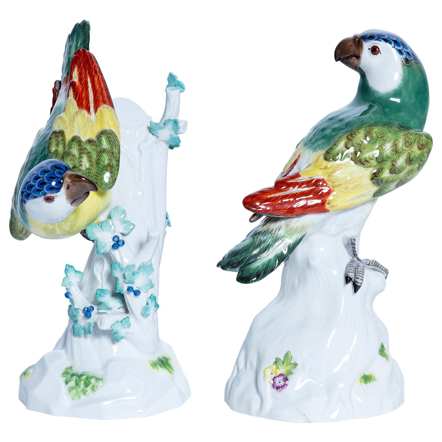 Pair of Porcelain Parrots Signed Meissen, Germany, Early 20th Century