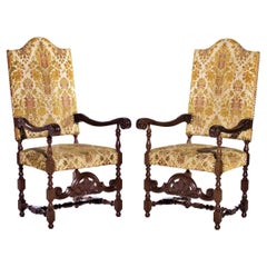 Pair of Portuguese Armchair 19th Century Exotic Wood