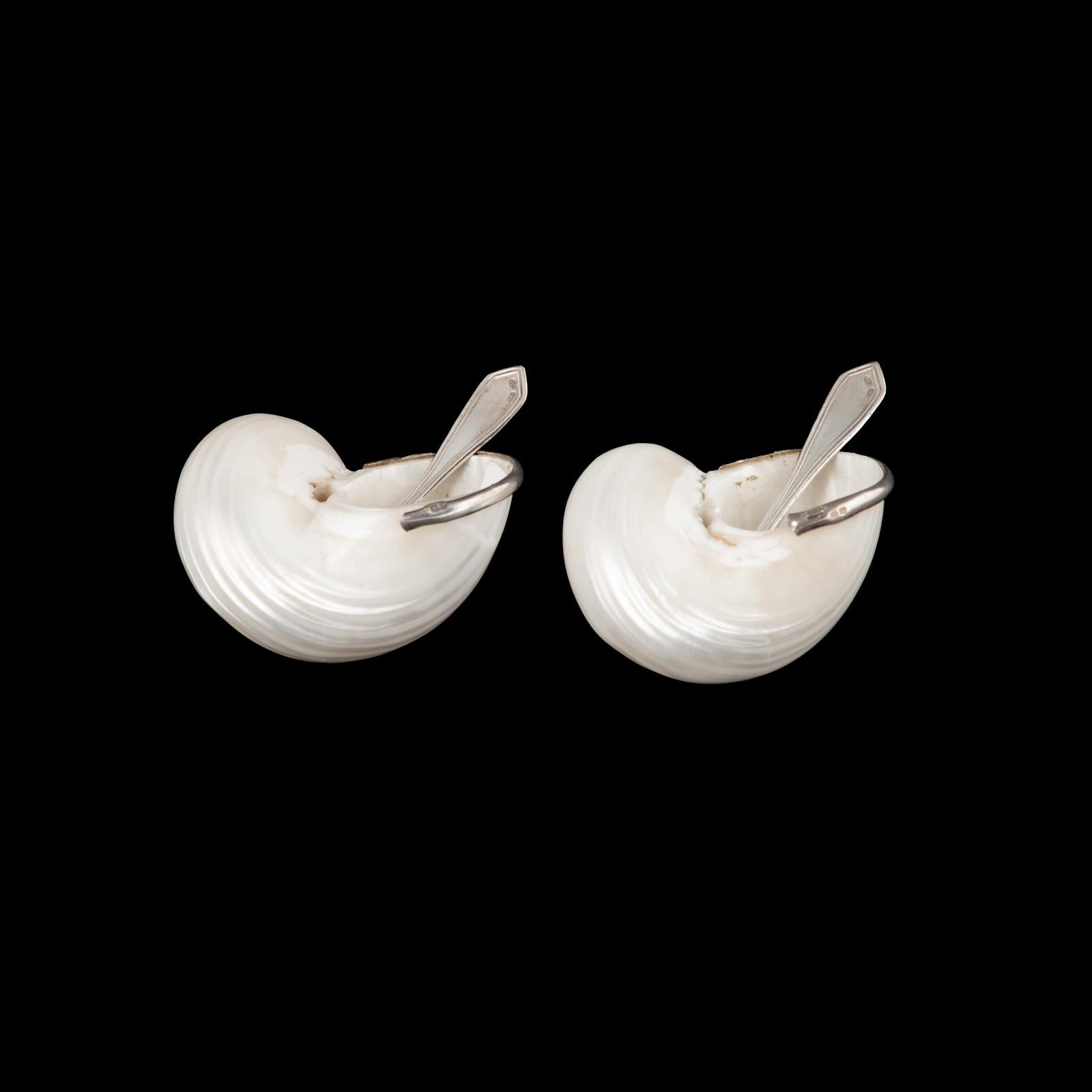 Pair of Portuguese Nautical Silver-Mounted Shell Salt Cellars with Spoons For Sale 1