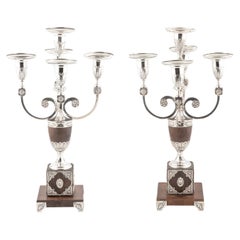 Candelabros de metal