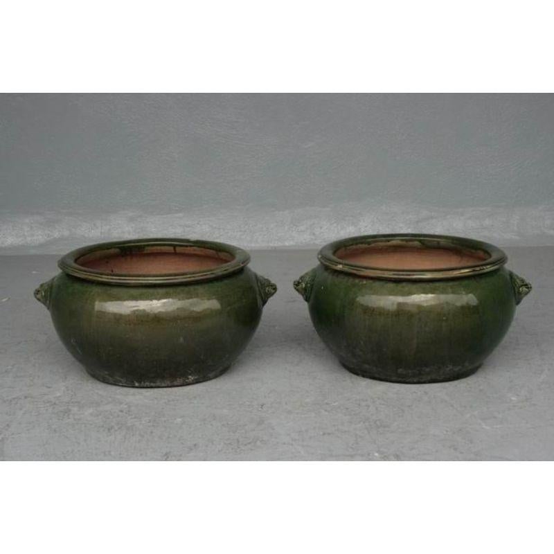20th Century Pair of Pot Caches with Fô Dogs For Sale