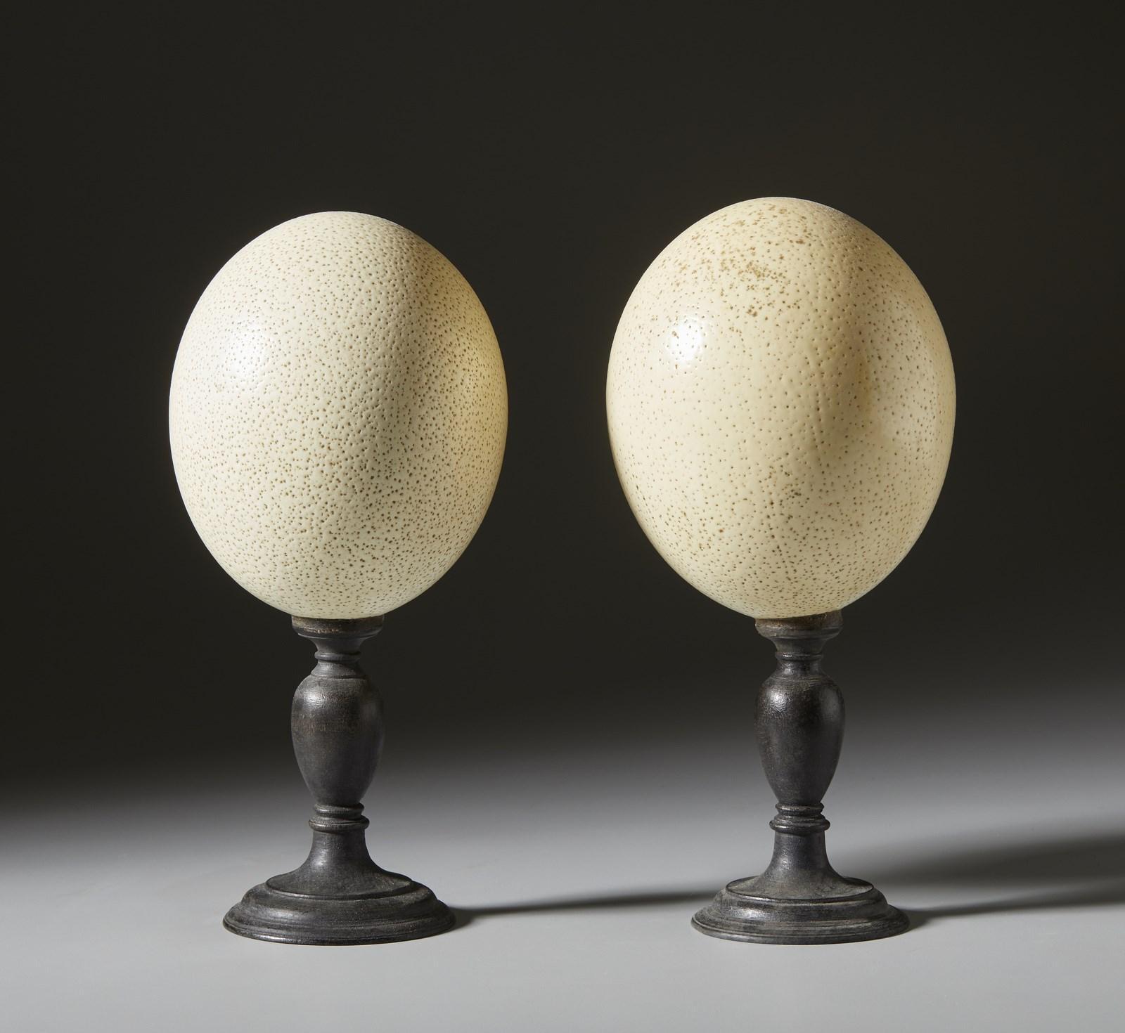 A superb pair of mounted ostrich eggs.

During the German Renaissance, Kunstkammer or Wonder Cabinet objects transformed ostrich eggs into ornate flasks, urns and decorative works. In ancient times engraved ostrich eggs were prized treasures.