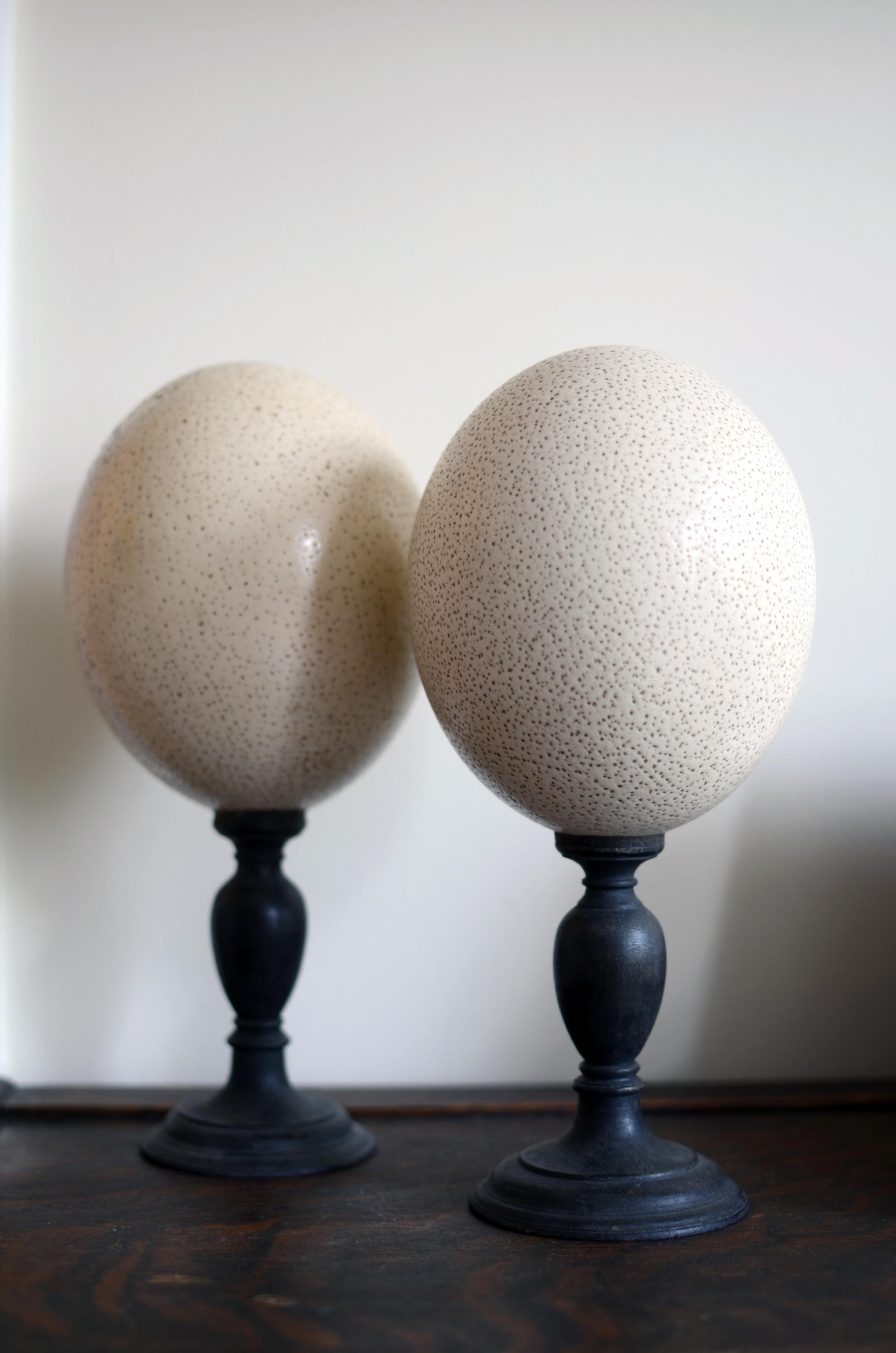 Renaissance Pair of Preserved Ostrich Eggs Mounted on Ebonized Wood Candlesticks
