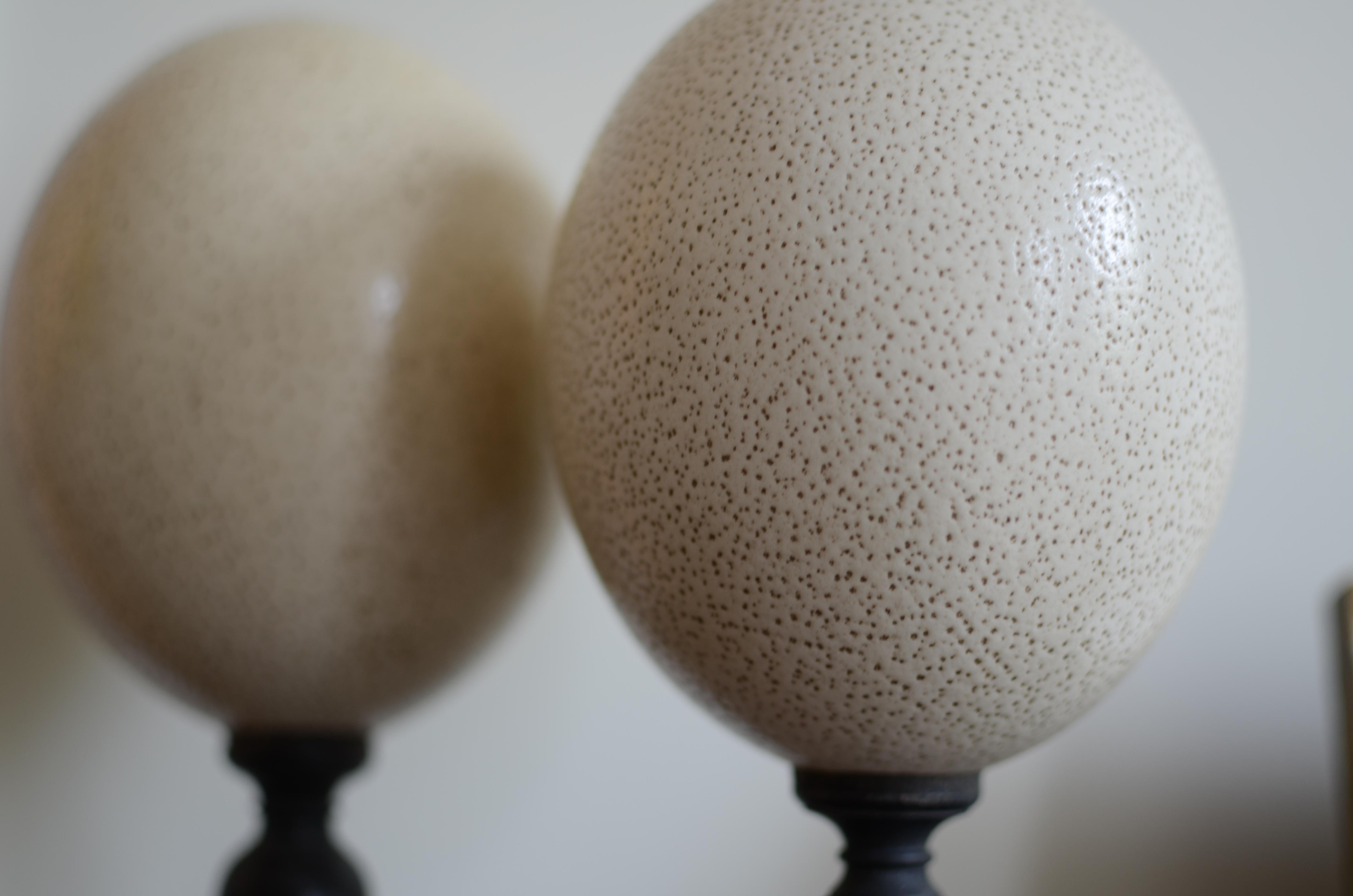 Italian Pair of Preserved Ostrich Eggs Mounted on Ebonized Wood Candlesticks