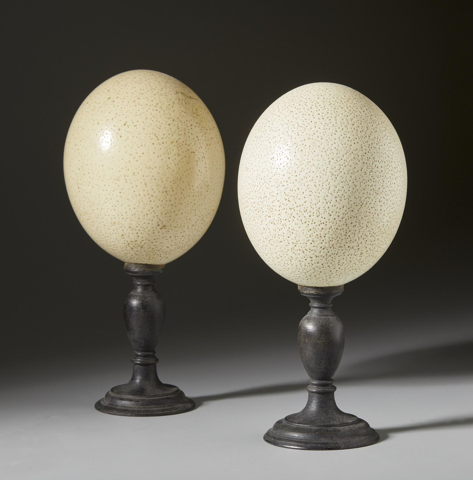 Pair of Preserved Ostrich Eggs Mounted on Ebonized Wood Candlesticks In Good Condition In Leesburg, VA