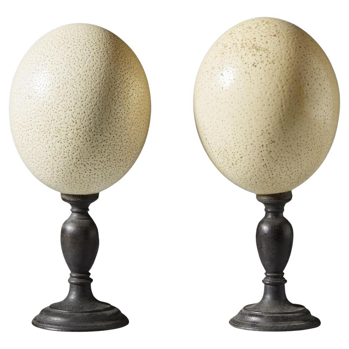 Pair of Preserved Ostrich Eggs Mounted on Ebonized Wood Candlesticks