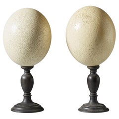 Pair of Preserved Ostrich Eggs Mounted on Ebonized Wood Candlesticks