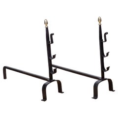 Pair of Brass and Wrought Iron Andirons