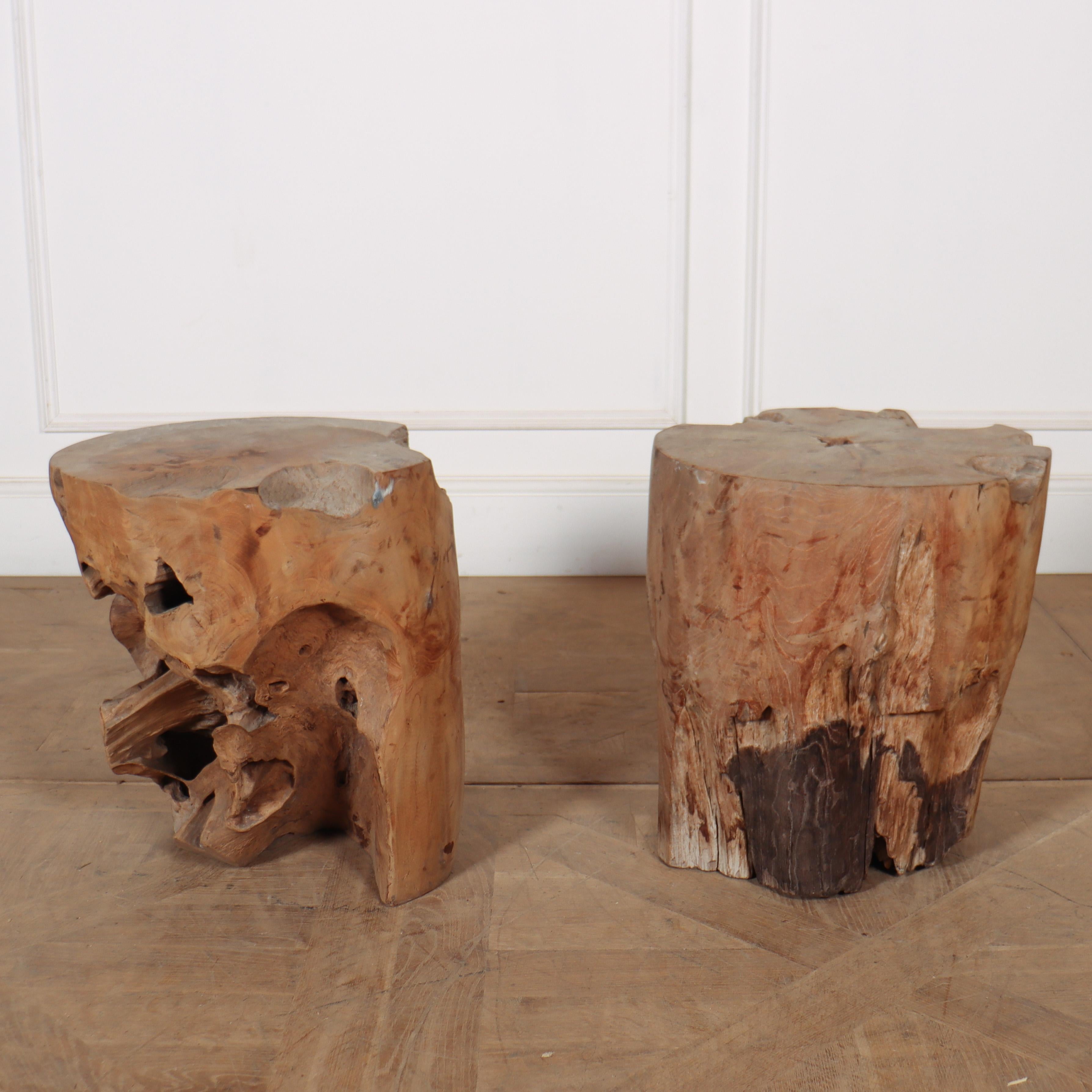 Pair of small primitive root wood side tables.

Reference: 8143

Dimensions
17.5 inches (44 cms) High
16 inches (41 cms) Diameter