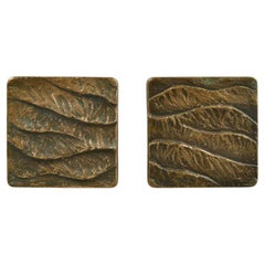 Pair of Push Pull Door Handles in Bronze Relief of Waves