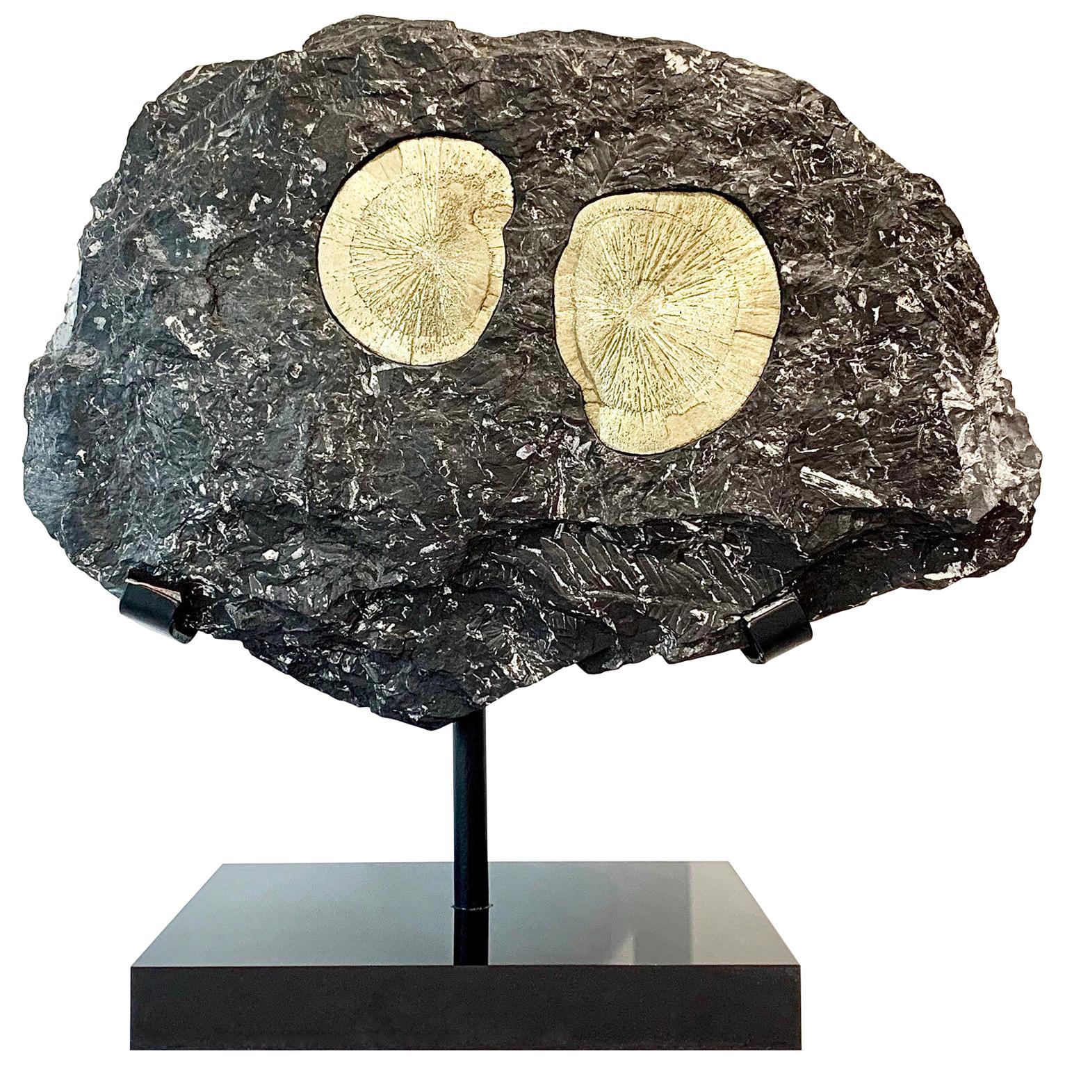 Pair of Pyrite Suns in Matrix For Sale