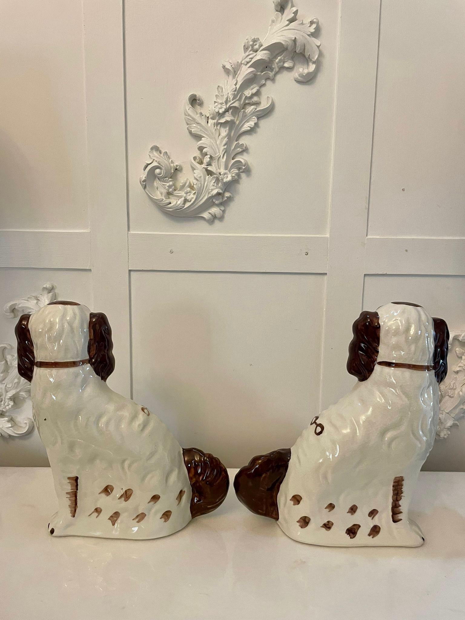 Pair of Quality Antique Edwardian Staffordshire Dogs 4