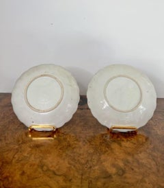 Pair of quality antique Japanese imari plates